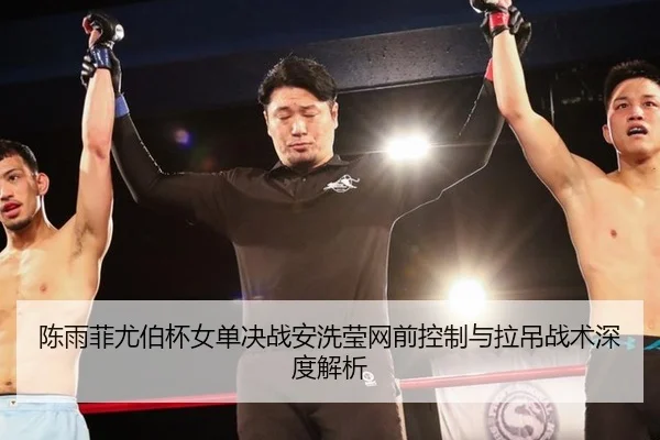 陈雨菲尤伯杯女单决战安洗莹网前控制与拉吊战术深度解析