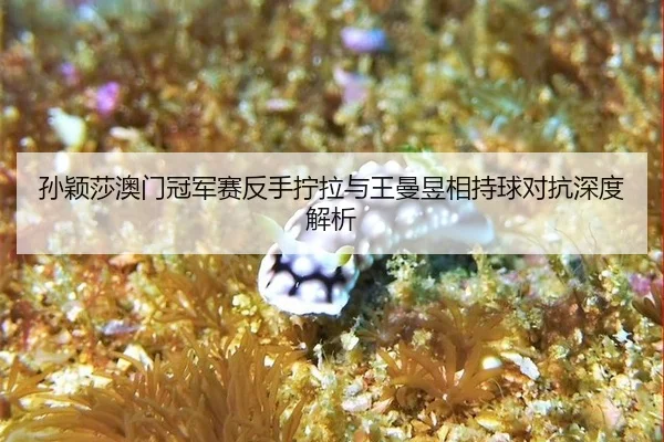 sun-ying-sha-ao-men-guan-jun-sai-fan-shou-ning-la-yu-wang-man-yu-xiang-chi-qiu-dui-kang-shen-du-jie-xi-2-170.jpg