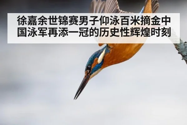 徐嘉余世锦赛男子仰泳百米摘金中国泳军再添一冠的历史性辉煌时刻