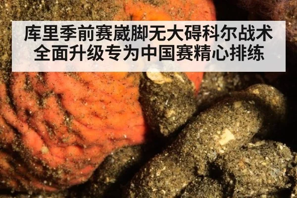 库里季前赛崴脚无大碍科尔战术全面升级专为中国赛精心排练
